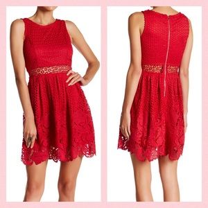 Romeo & Juliet Couture Lace Flare Dress